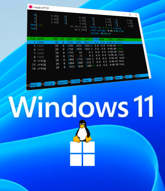 run-linux-terminal-on-windows-11-craig-dugas